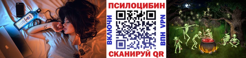 KRAKEN маркетплейс  закладка  Кириллов  Псилоцибиновые грибы MAGIC MUSHROOMS 